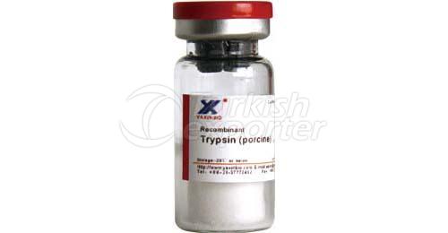 Recombinant Porcine Trypsin