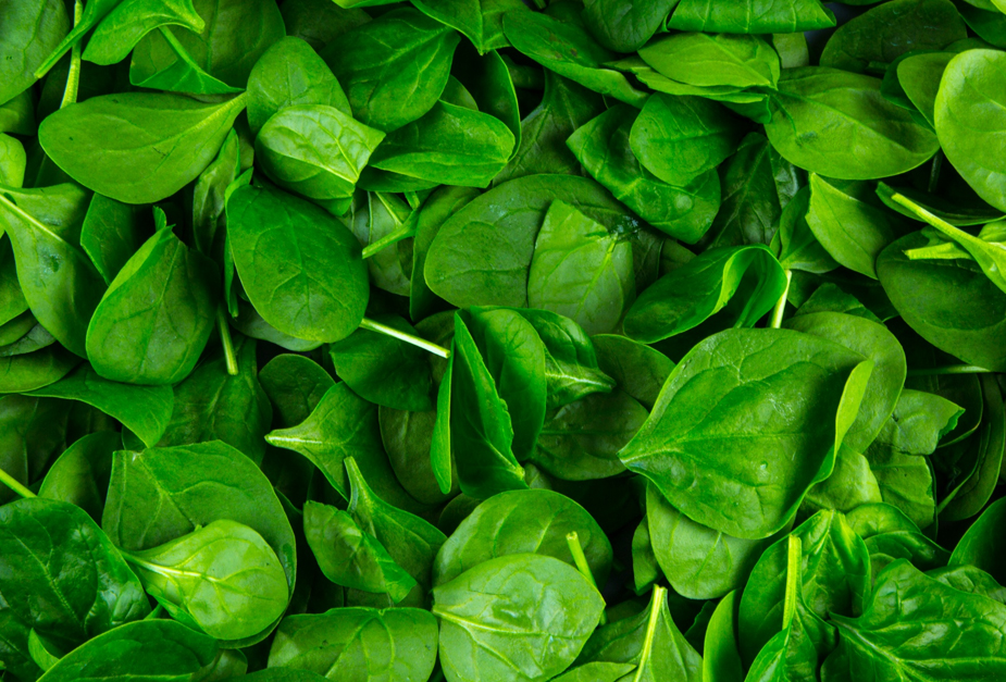 SPINACH