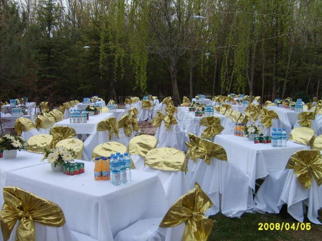 Beşyıldız Organizasyon