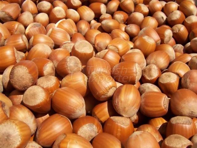 Hazelnut