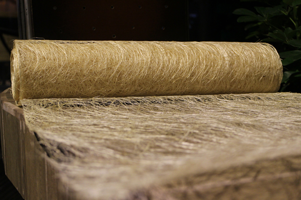 Abaca - Natural Raw Material