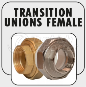 Transition Union(female)