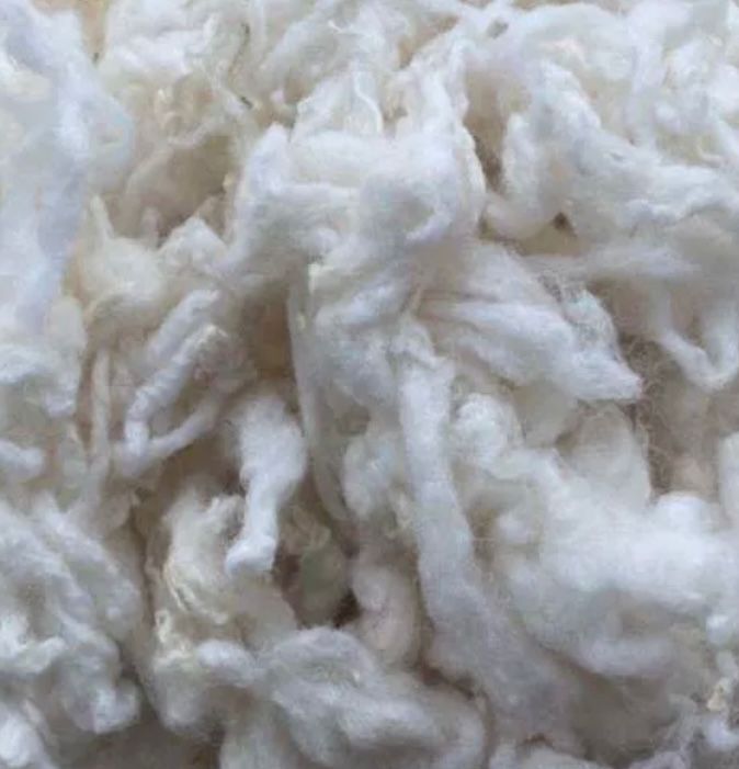 LIVE SHEARED WOOL