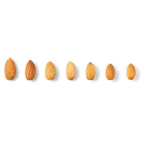 Almond