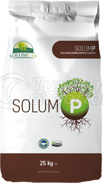 SOLUM P