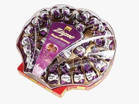 Elif Ziyne Mussels P.V.C Gift Box