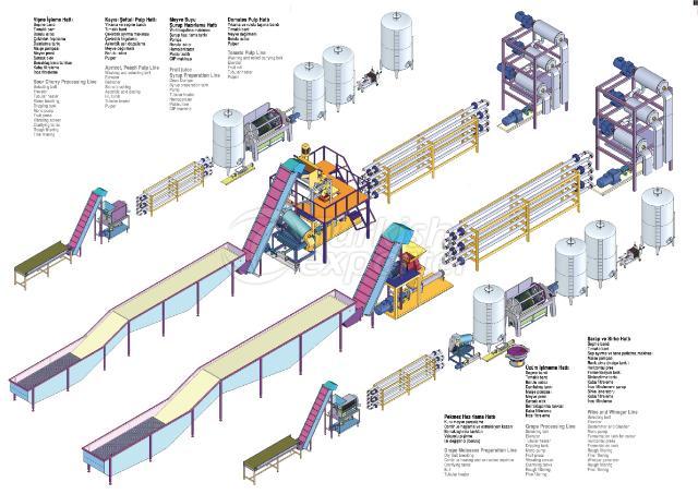 Fruit Processing Lines