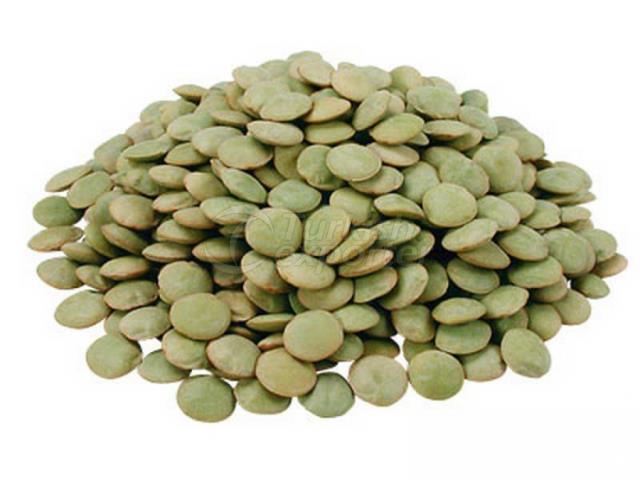 Green Lentils
