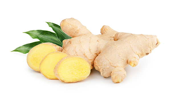 Fresh Giant Ginger