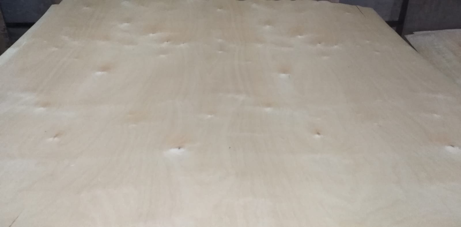 Peeled birch veneer