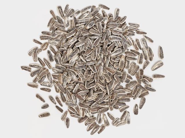 Black Raw Sunflower Seeds