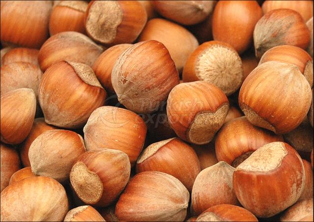 SHELLED HAZELNUT