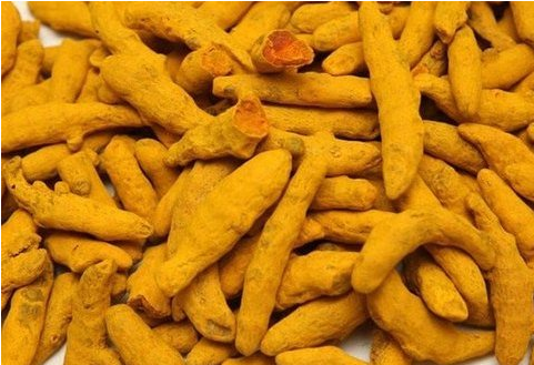 Finger Turmeric