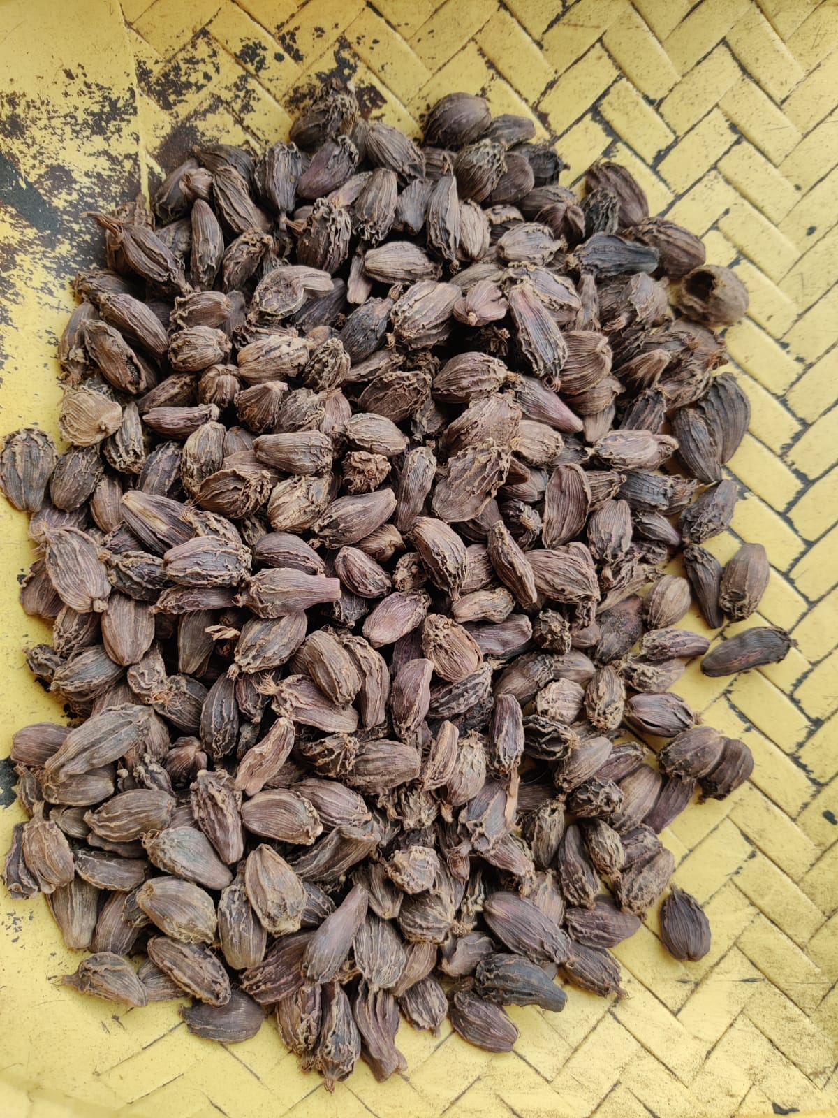 Black cardamom 