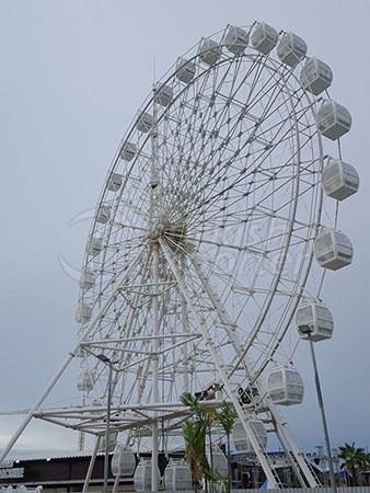 Hot Amusement Rides Ferris Wheels