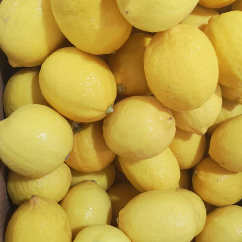 Dried Lemons