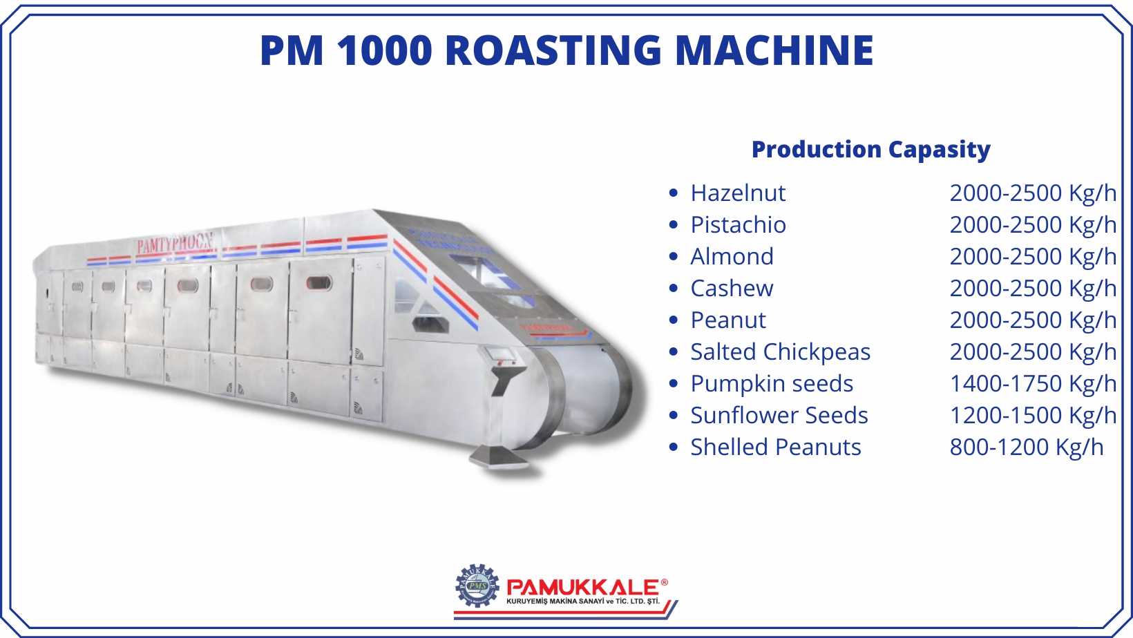 PM 1000 NUTS ROASTING MACHINE