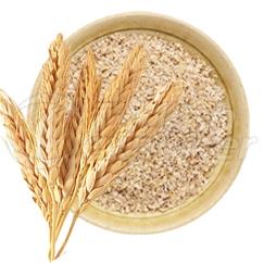 Wheat Bran