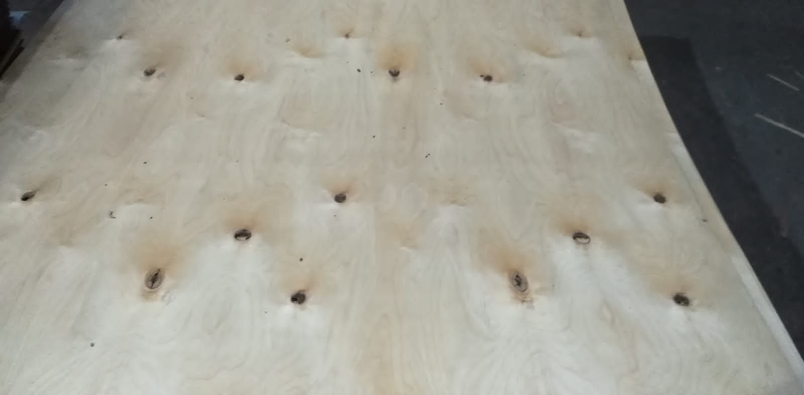 Veneer birch