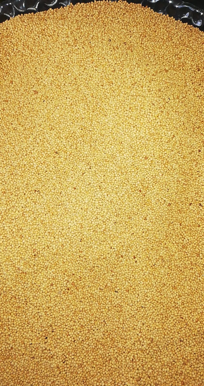 incir tohumu-incir cekirdegi