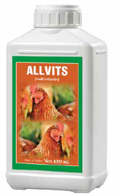 Allvits