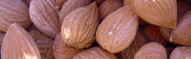 Apricot Kernels