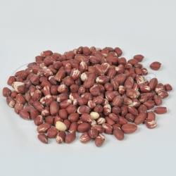 Ethiopian origin Peanuts Kernels