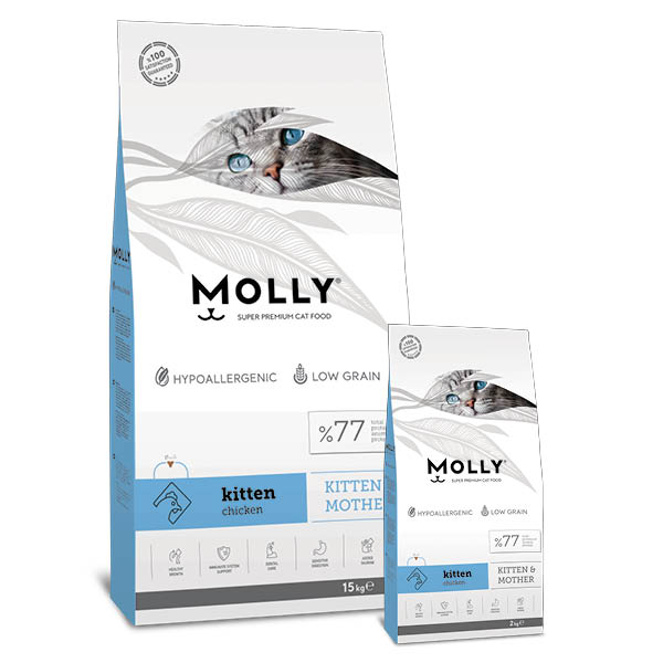 Molly Kitten Food 