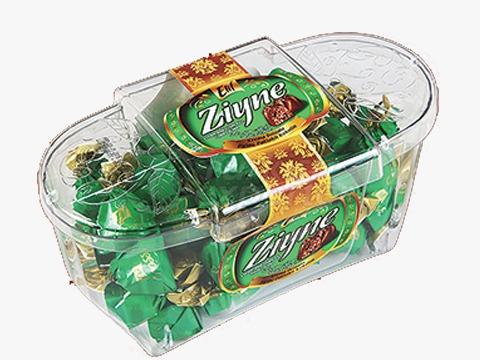 Elif Ziyne Patternt Chest P.V.C