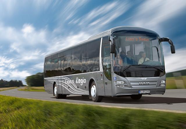 Coach Lion's Regio
