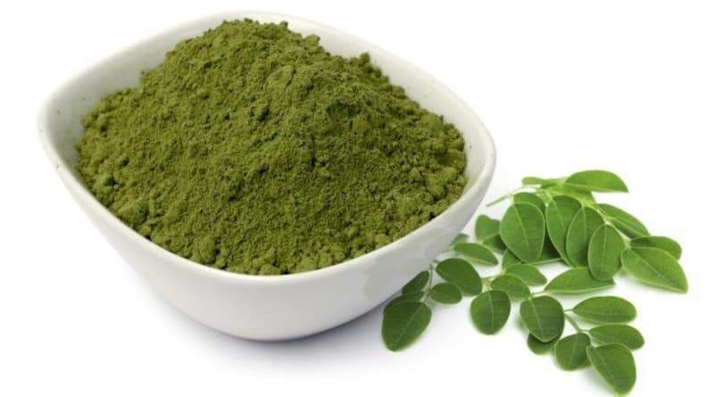 MORINGA OLEIFERA