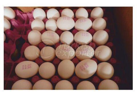 White and Brown Fresh Chicken Eggs