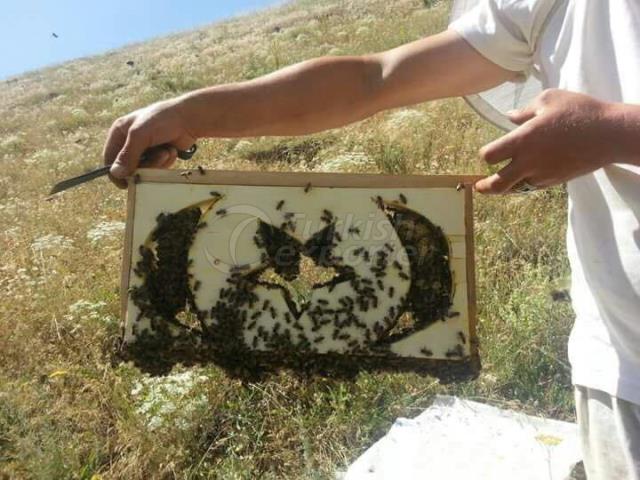 Turkish Flag Honeycomb