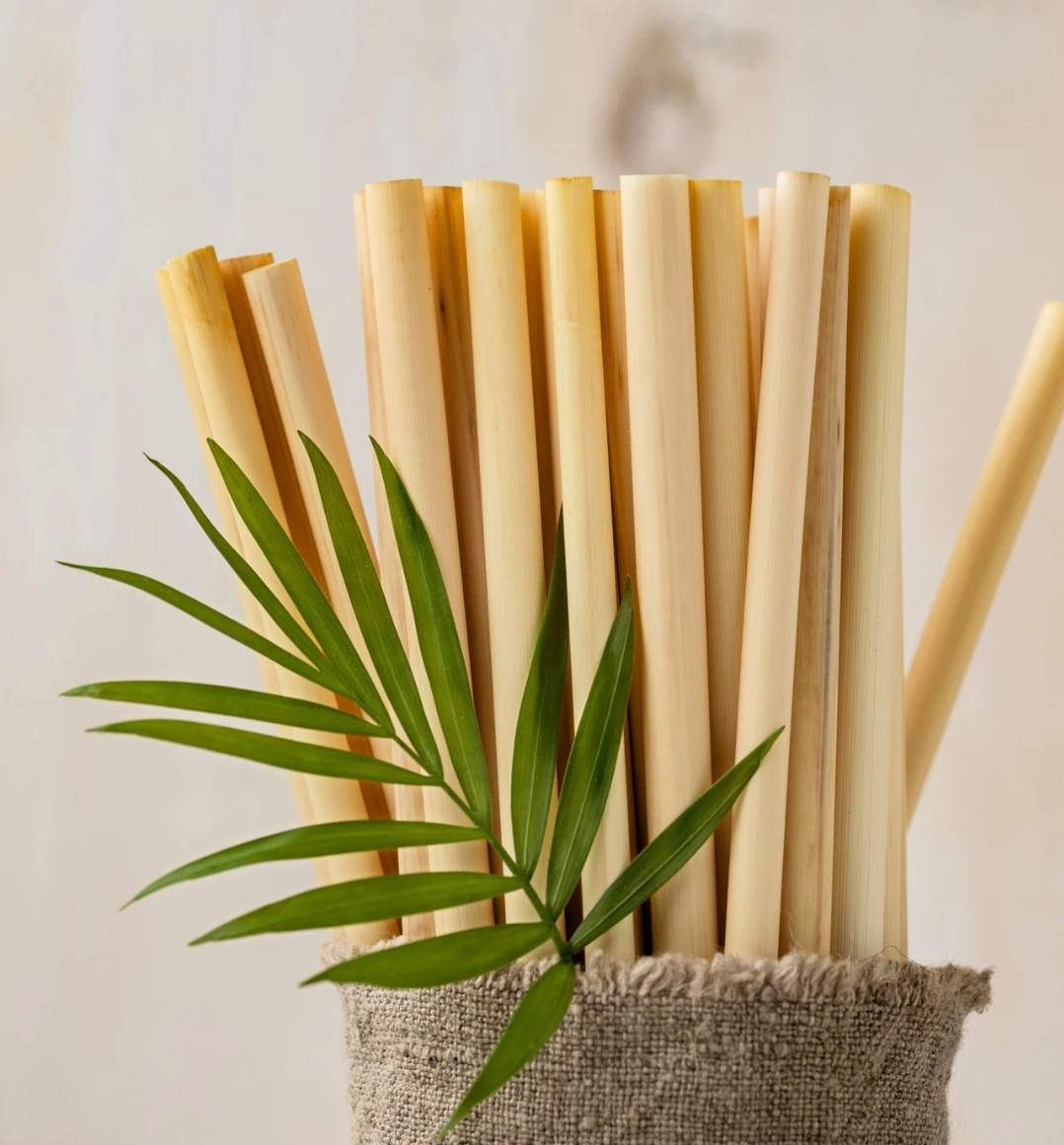 Bamboo Straws