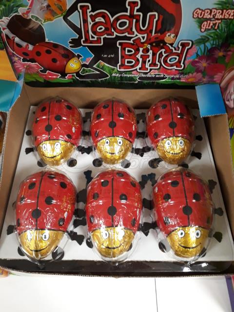 lady bug chocolate 55gr