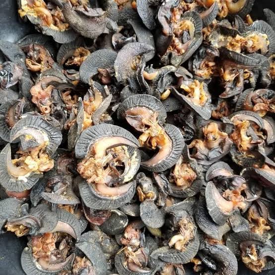 Dried snails