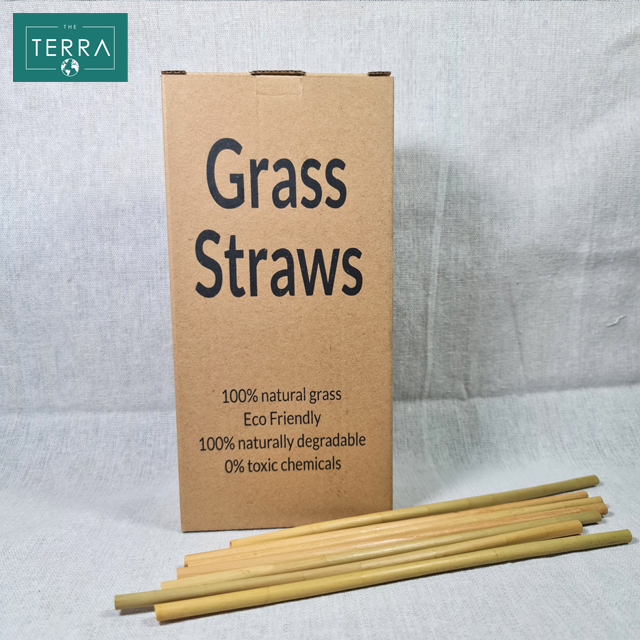 Grass straws  (Lepiroia 34)