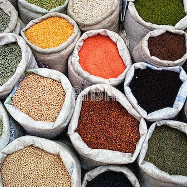 BAGS OF FOODSTUFF