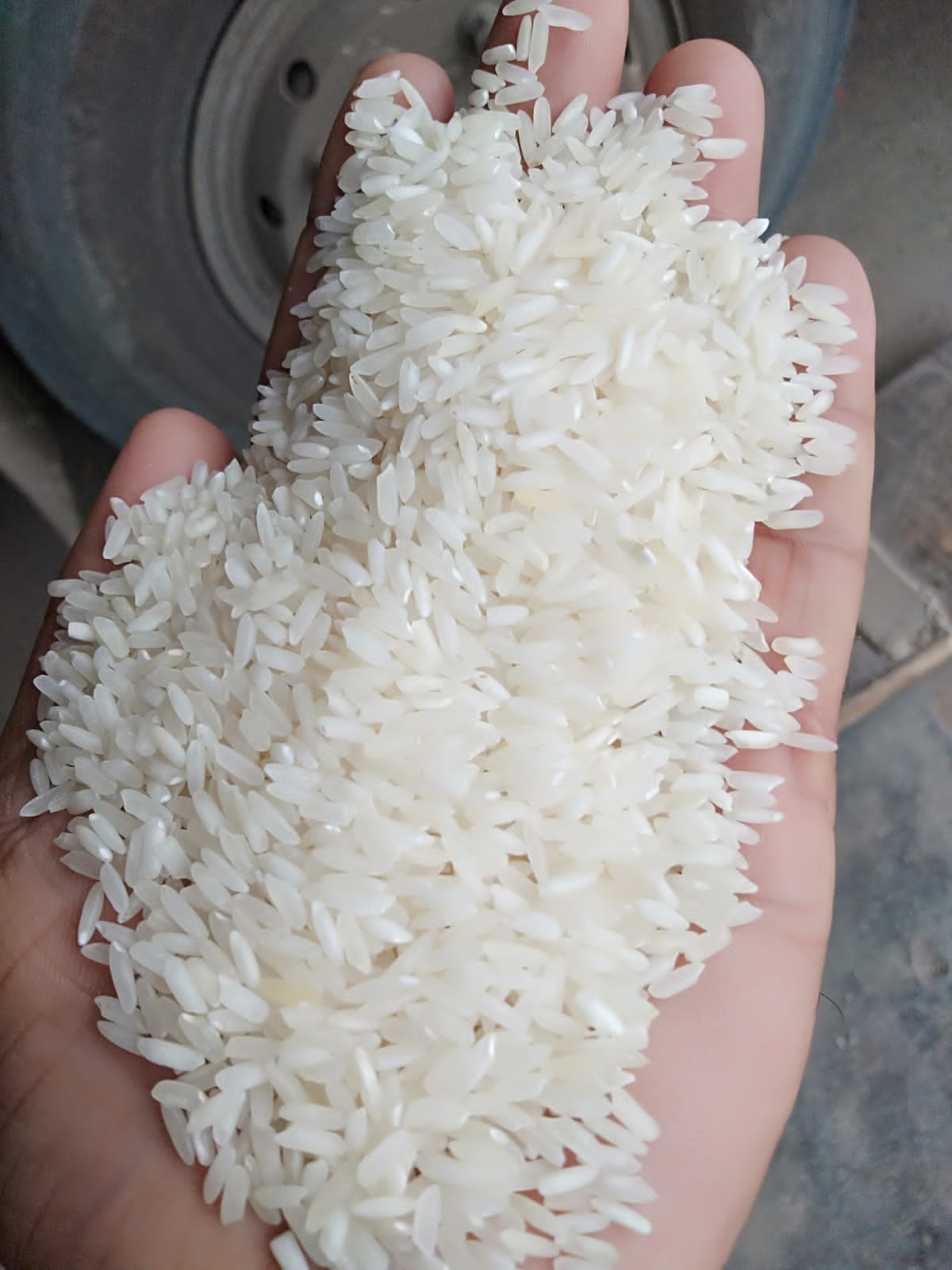 INDIAN RICE