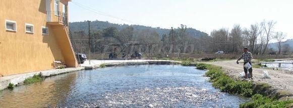 Salmon and Trout Production