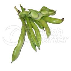 Broad bean