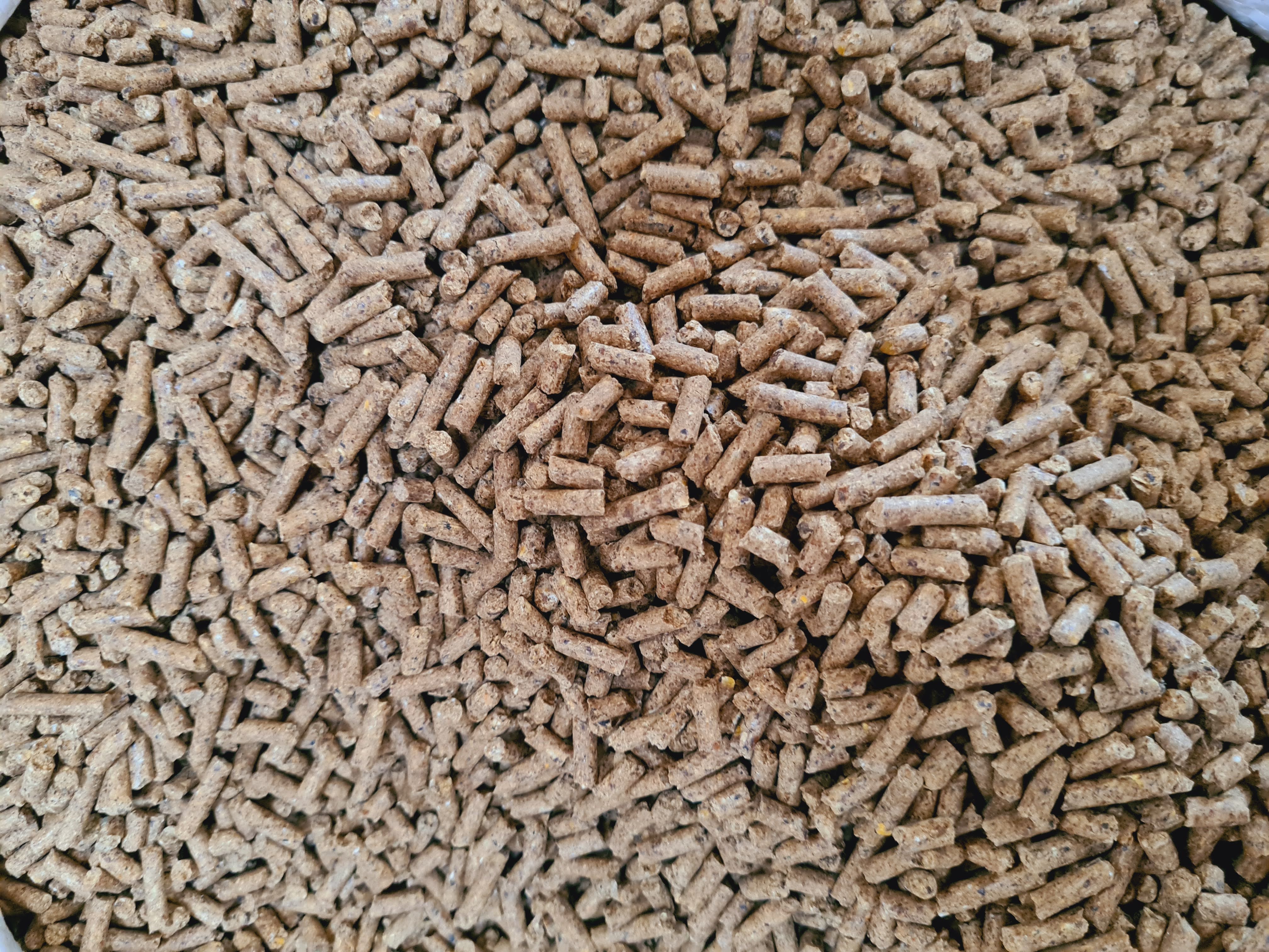 Platina Cattle Feed 