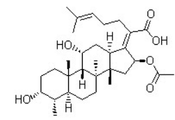 Fusidic Acid 6990-06-3