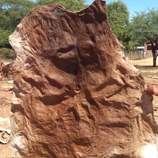 Air-dried and Sundry Cow/Bovine Hides