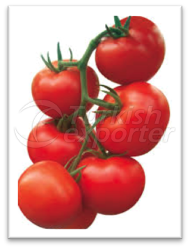 Tomates en grappe