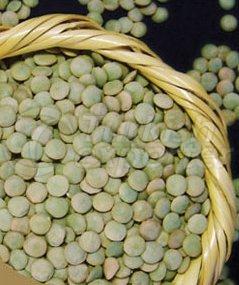 Lentille verte en vrac