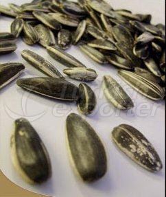 Graines de tournesol