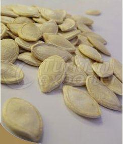 Graine de citrouille