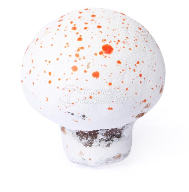 ORANGE SPOTTED MUSHROOM