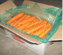 China Fresh Carrots